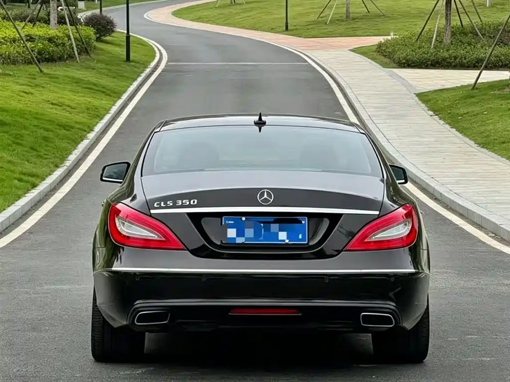Mercedes-Benz CLS 2012 CLS 300 CGI фото 9