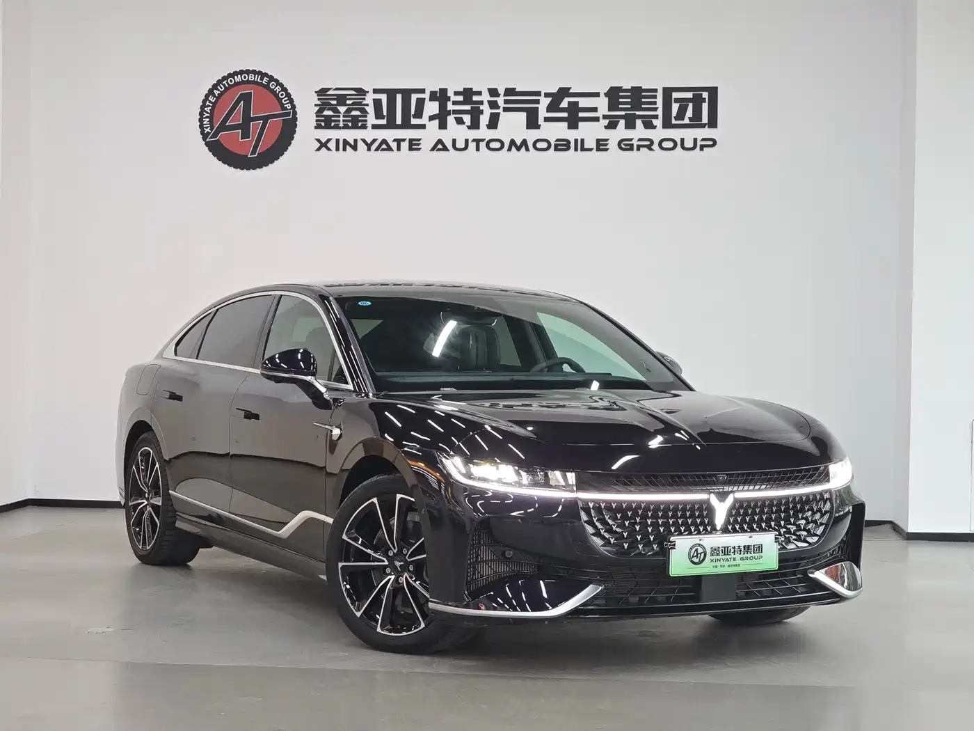 Voyah Passion 2024 2024 PHEV AWD Ultra Long Range Flagship
