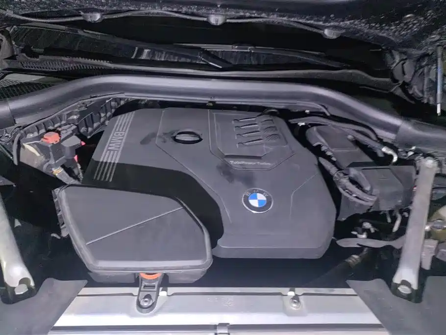 BMW X3 2022 xDrive30i Leading M Night Package фото 10
