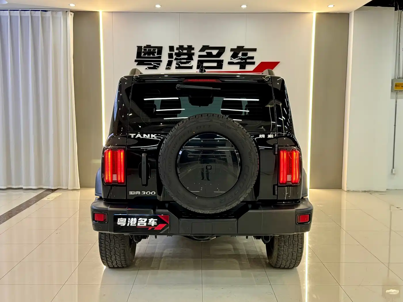Tank 300 2021 Off-road Version 2.0T Conqueror фото 3
