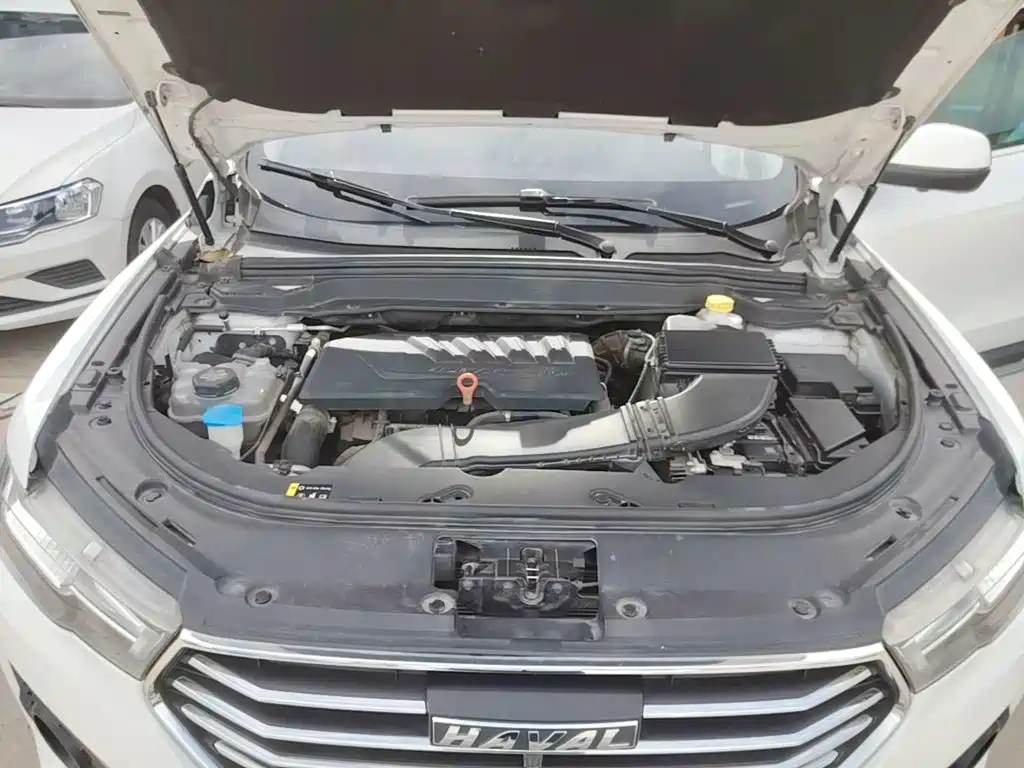 Haval H4 2019 2019 1.5GDIT DCT Luxury Smart Connection China VI