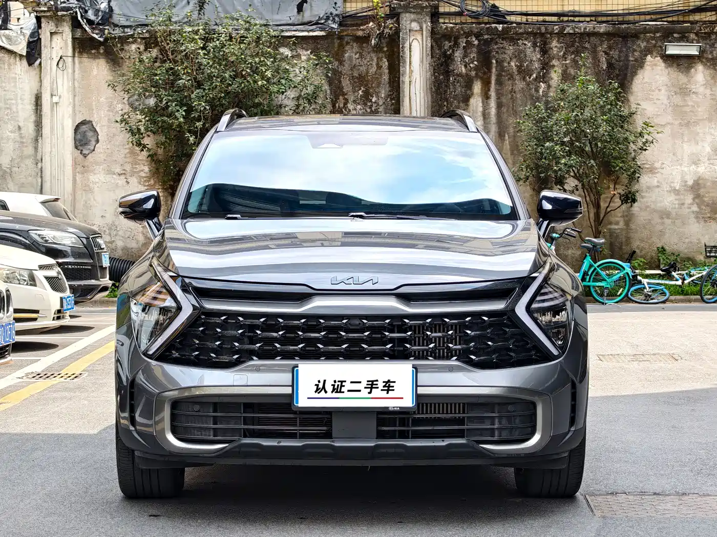 KIA LION PLATINUM EXPANDS THE WORLD