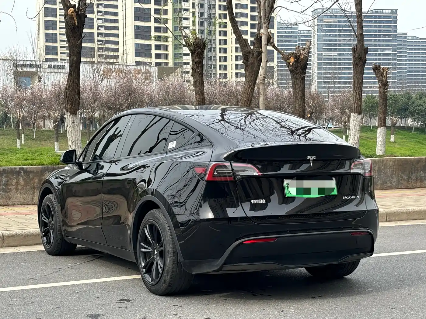 Tesla Model Y 2022 Facelift Rear-Wheel Drive Version фото 11