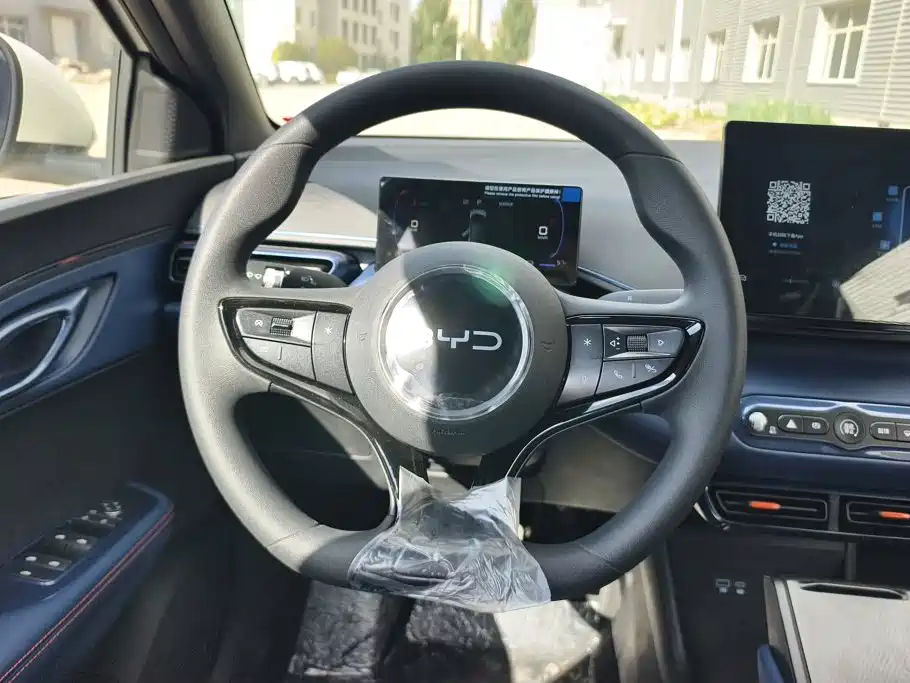 BYD Seagull 2026 2025 Smart Drive Edition 305km Vitality Version
