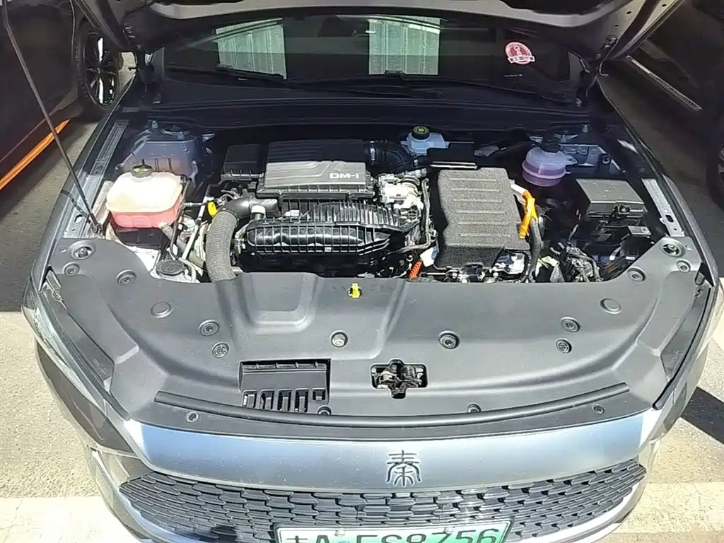BYD Qin PLUS 2024 Glory Edition DM-i 55KM Leading фото 20