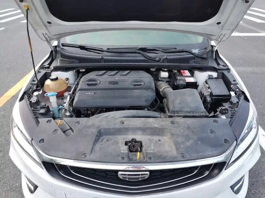 Geely Binrui 2019 2019 200T DCT Binshi Edition