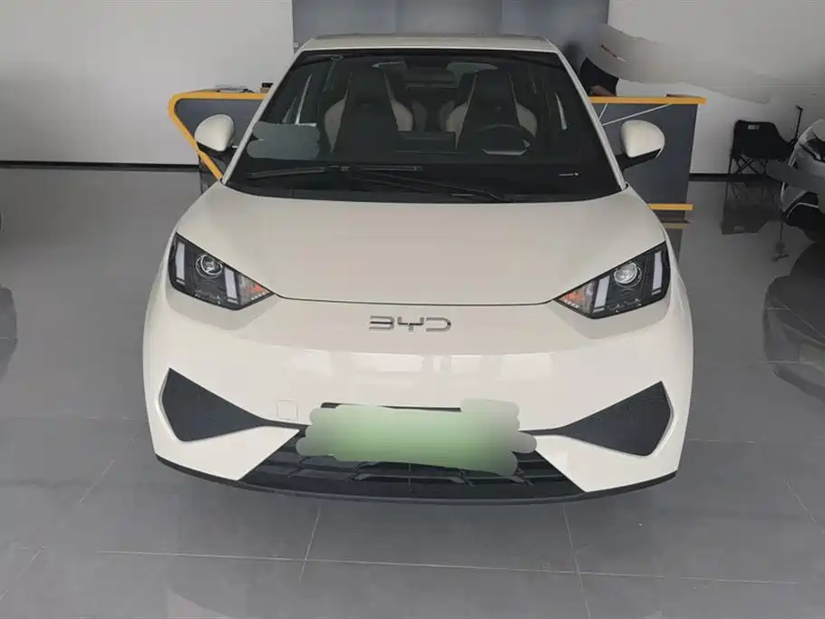 BYD Seagull 2025 Smart Drive Edition 305km Vitality Version фото 2