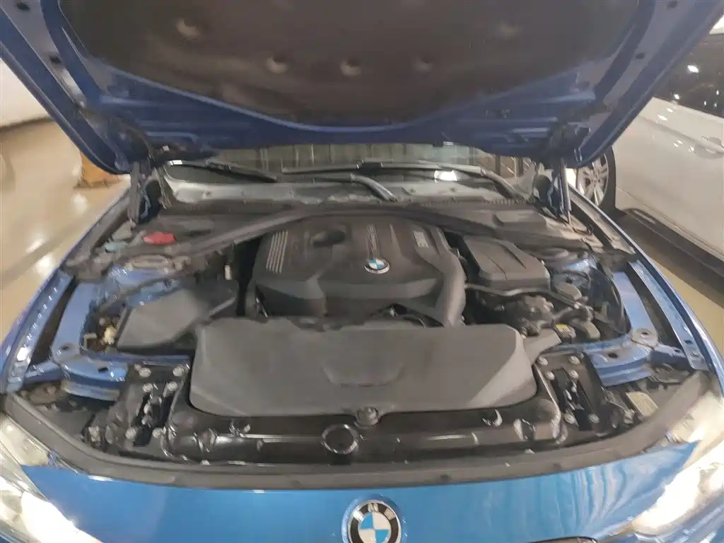 BMW 3 Series 2018 320Li M Sport Black Night Edition фото 16