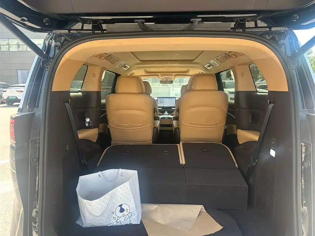 Denza D9 2025 DM-i Smart Drive Edition 1020 AWD Prestige фото 15