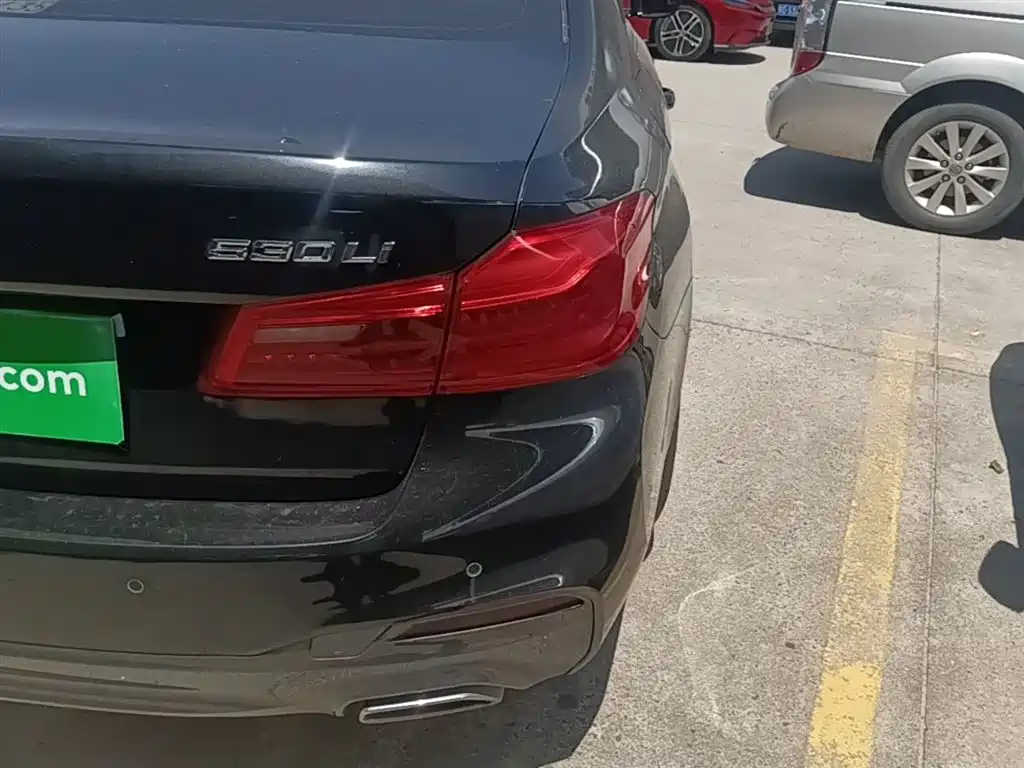 BMW 5 Series 2019 530Li Leading M Sport Package фото 8