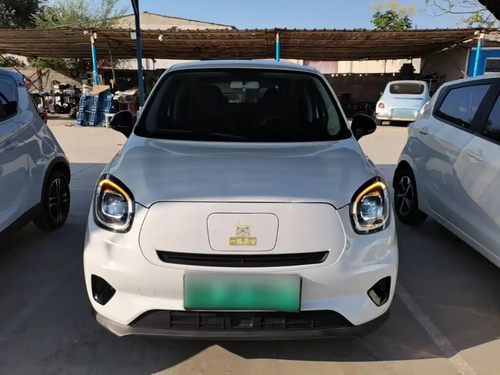 Leapmotor T03 2021 2021 400 Ride-hailing Edition
