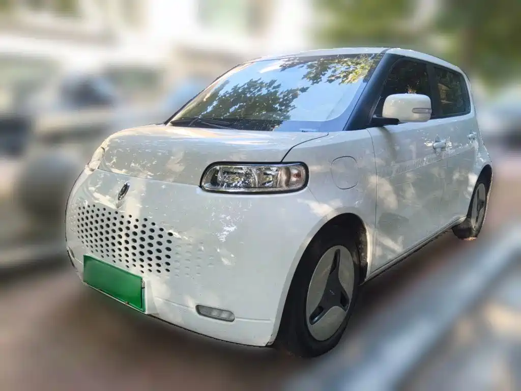 Ora White Cat 2020 2020 360km Luxury Model