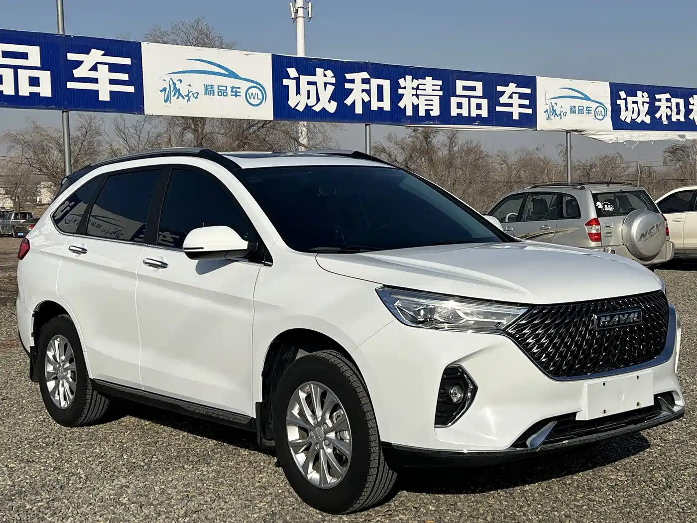 HAVAL M6