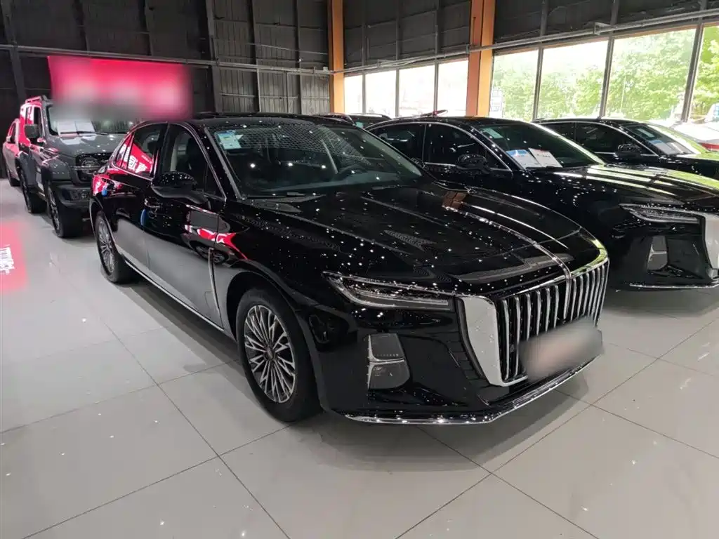 Hongqi H5 2025 1.5T DCT Flag Rhythm 500,000 Units Memorial Edition фото 6