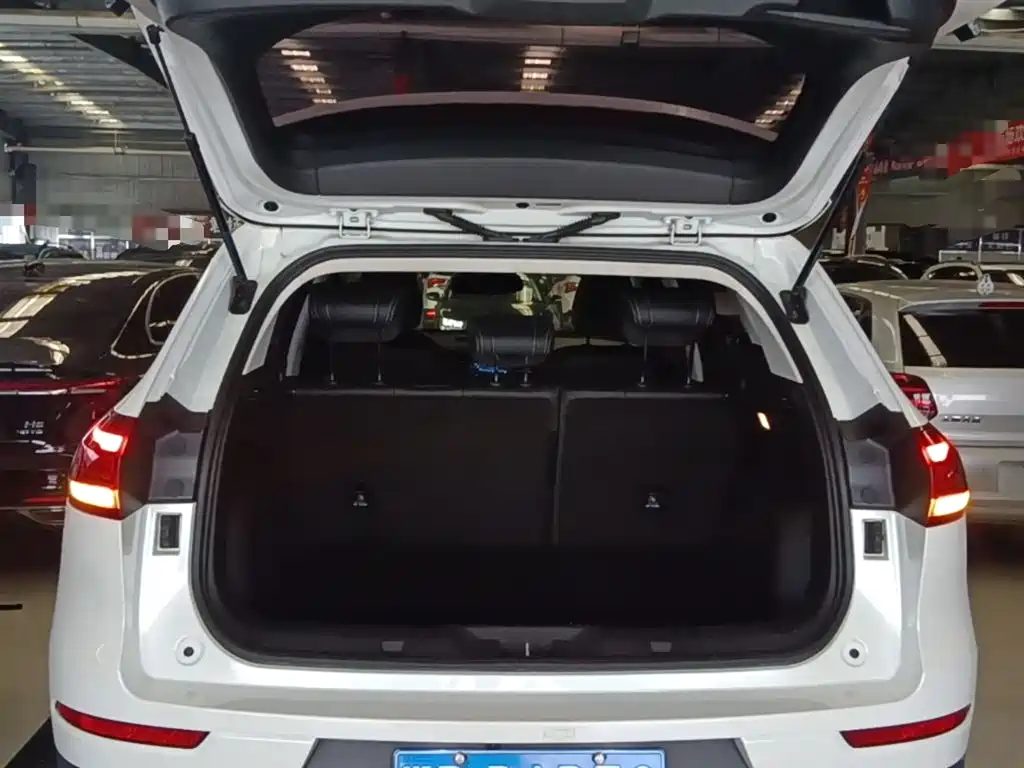 Haval H6 2019 1.5GDIT Automatic Champion Edition China V фото 19