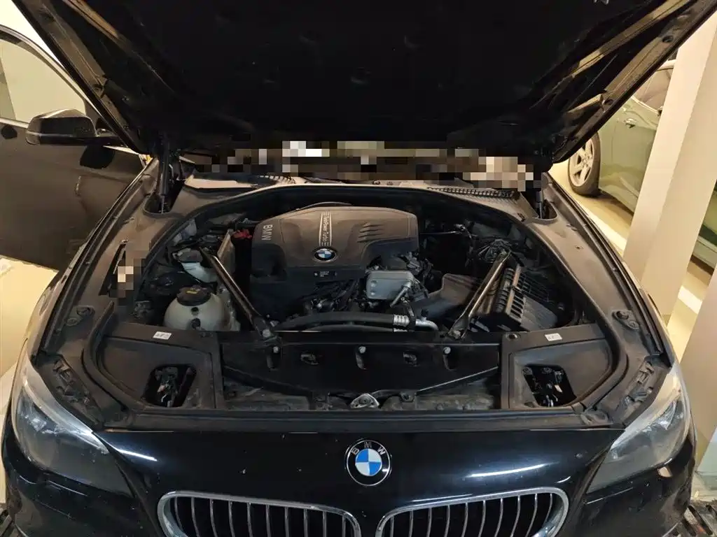BMW 5 Series 2017 525Li Luxury Design Package фото 21