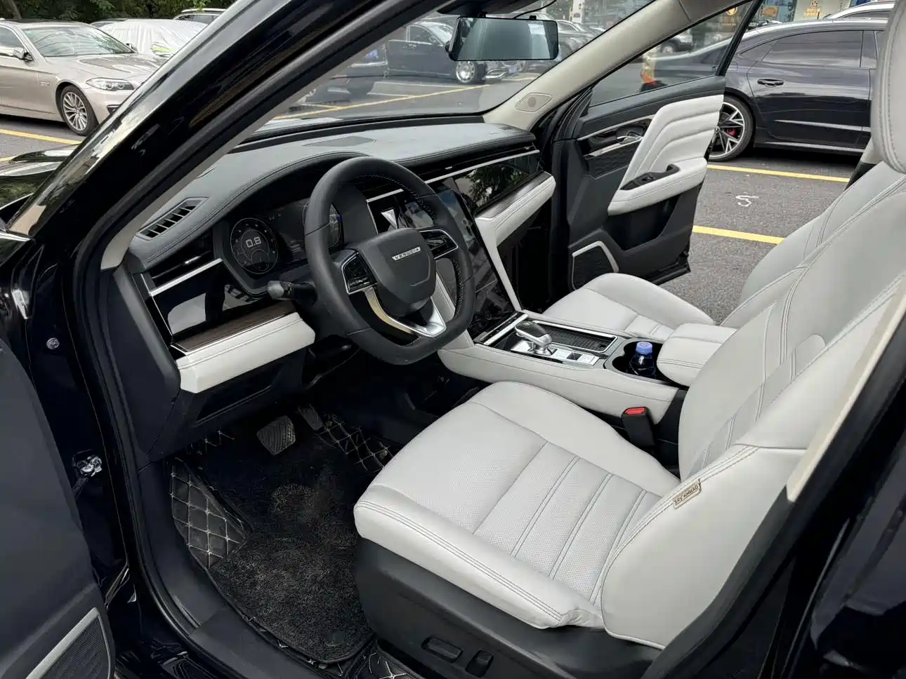 Venucia Star 2021 2020 260T Automatic 48V Mild Hybrid Turbo Star Enjoy Edition
