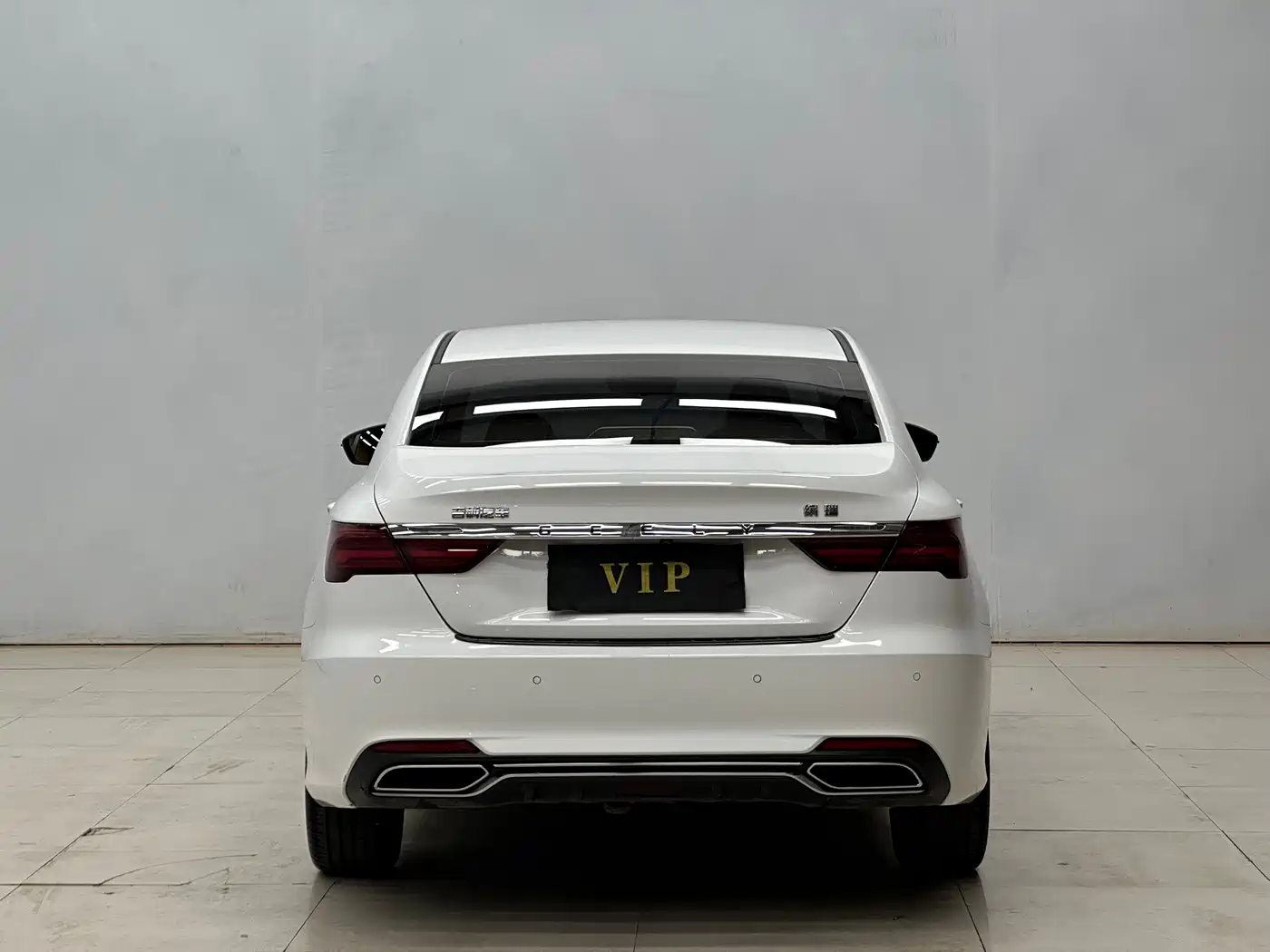 Фото 8 - Geely Binrui