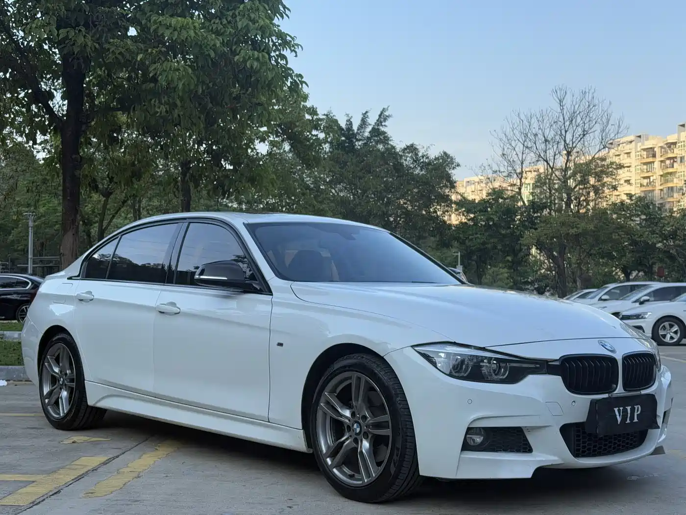 BMW 3 Series 2019 320Li M Sport Black Night Edition фото 3