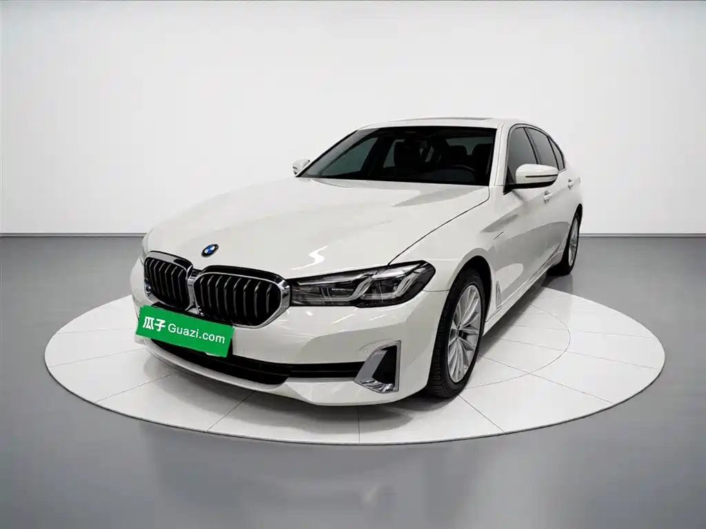BMW 5 Series New Energy 2021 535Le Luxury Package