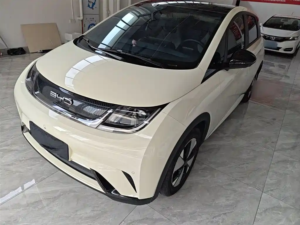 BYD Dolphin 2023 420km Fashion Edition фото 2