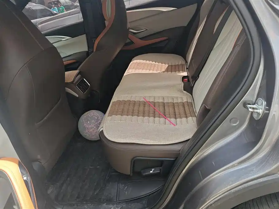 BYD Song Pro New Energy 2023 Champion Edition DM-i 110KM Excellence фото 11