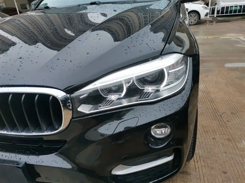 BMW X6 2015 xDrive35i Leading Type фото 18