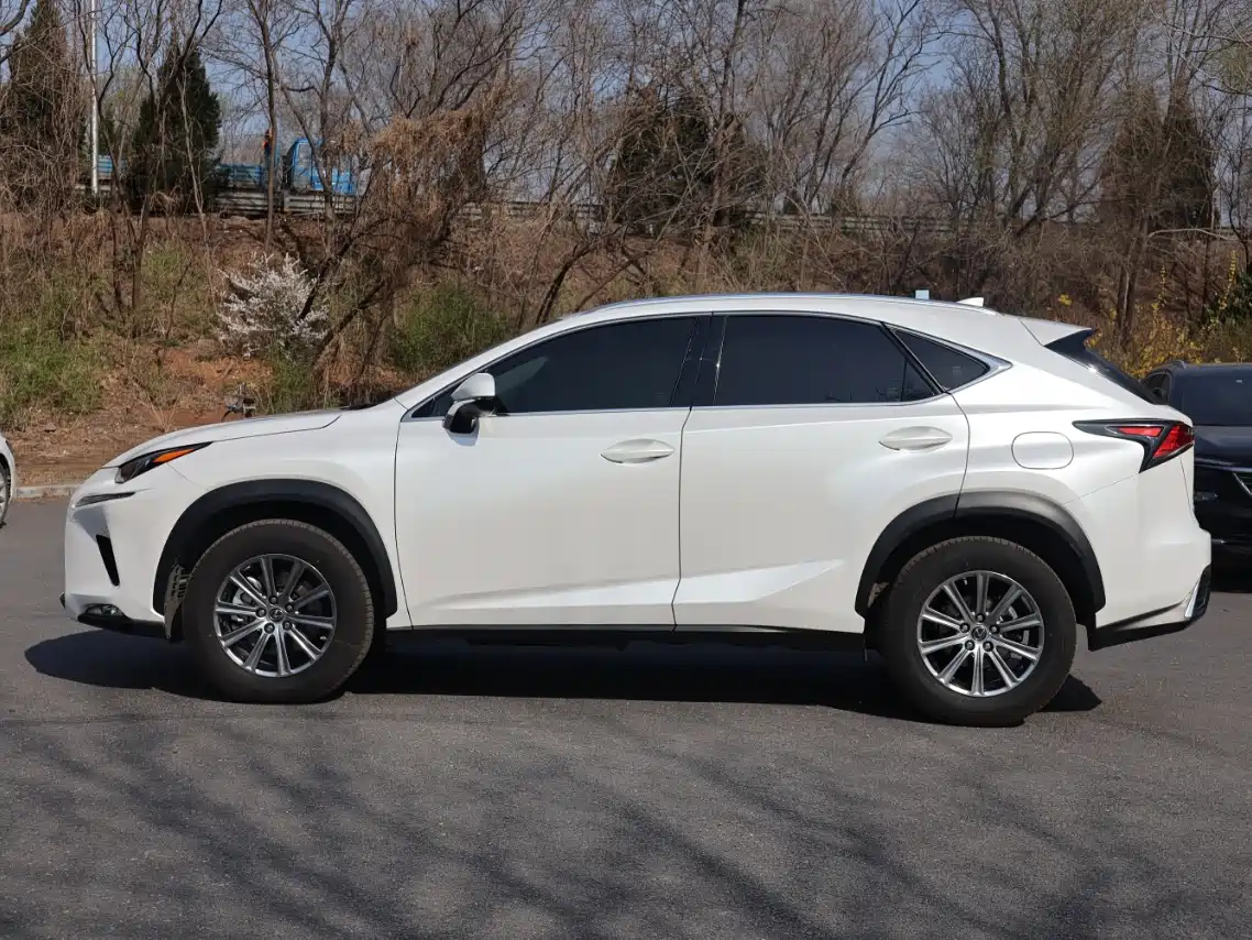 Lexus NX 2018 Model 200 AWD Fengshang Edition China V фото 5