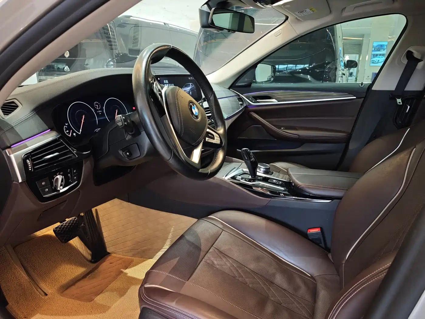 BMW 5 Series 2019 530Li Premium Luxury Package фото 8