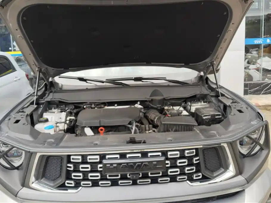Haval Da Gou 2nd Gen 2023 2.0T 2WD Trendy Off-road Edition Plus фото 10