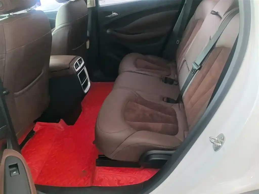Buick Envision Plus 2017 20T 2WD Luxury фото 17