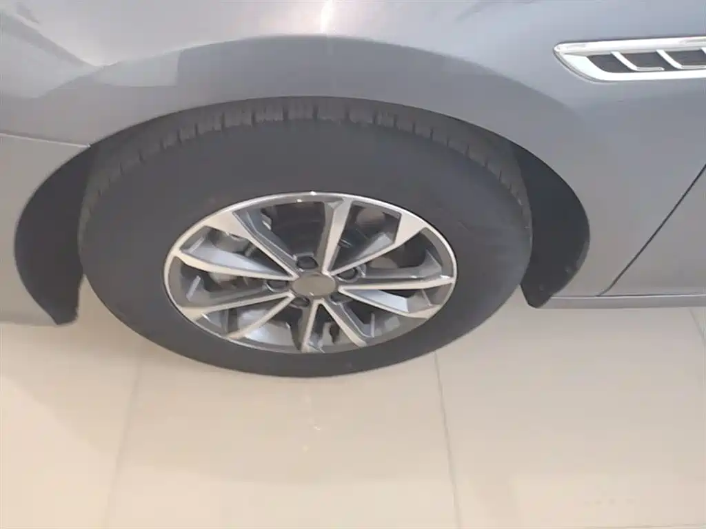 BYD Qin PLUS 2023 Champion Edition DM-i 55KM Leading фото 23
