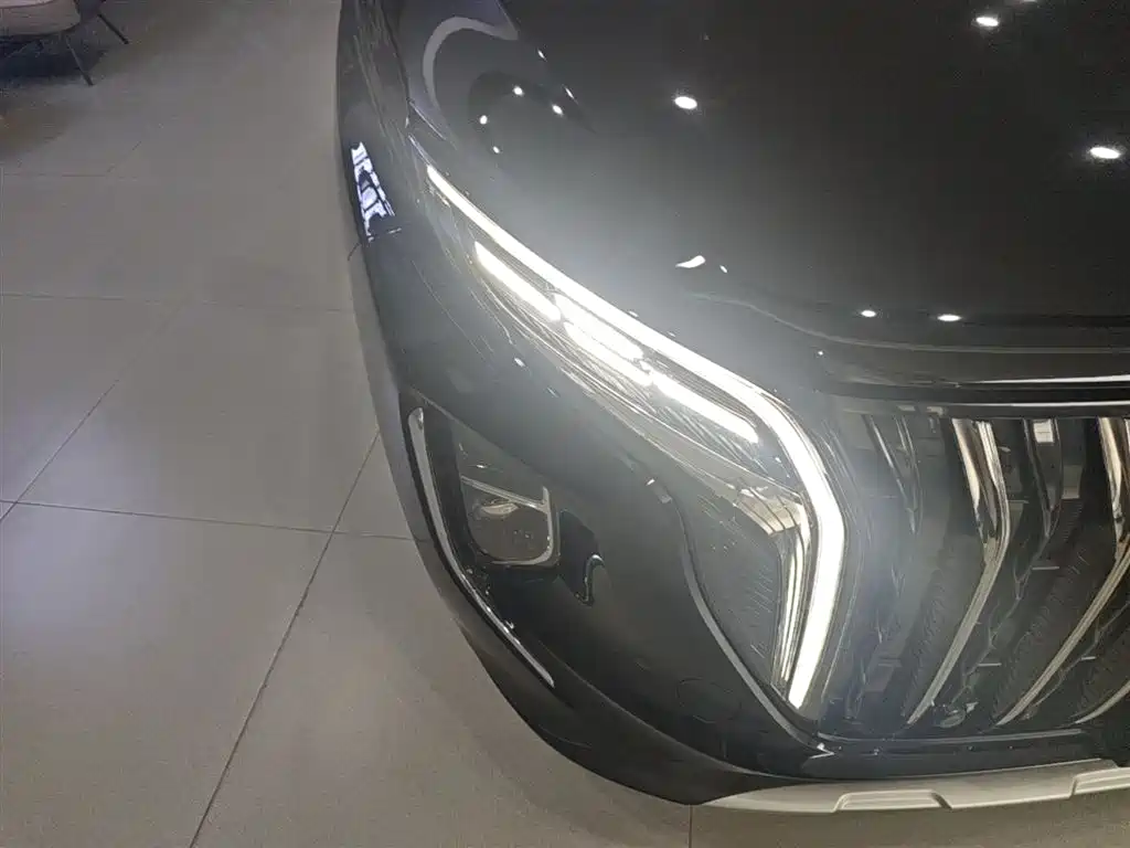 Hongqi HS7 PHEV 2024 2.0T PHEV AWD Qichang Edition 7-seater фото 13