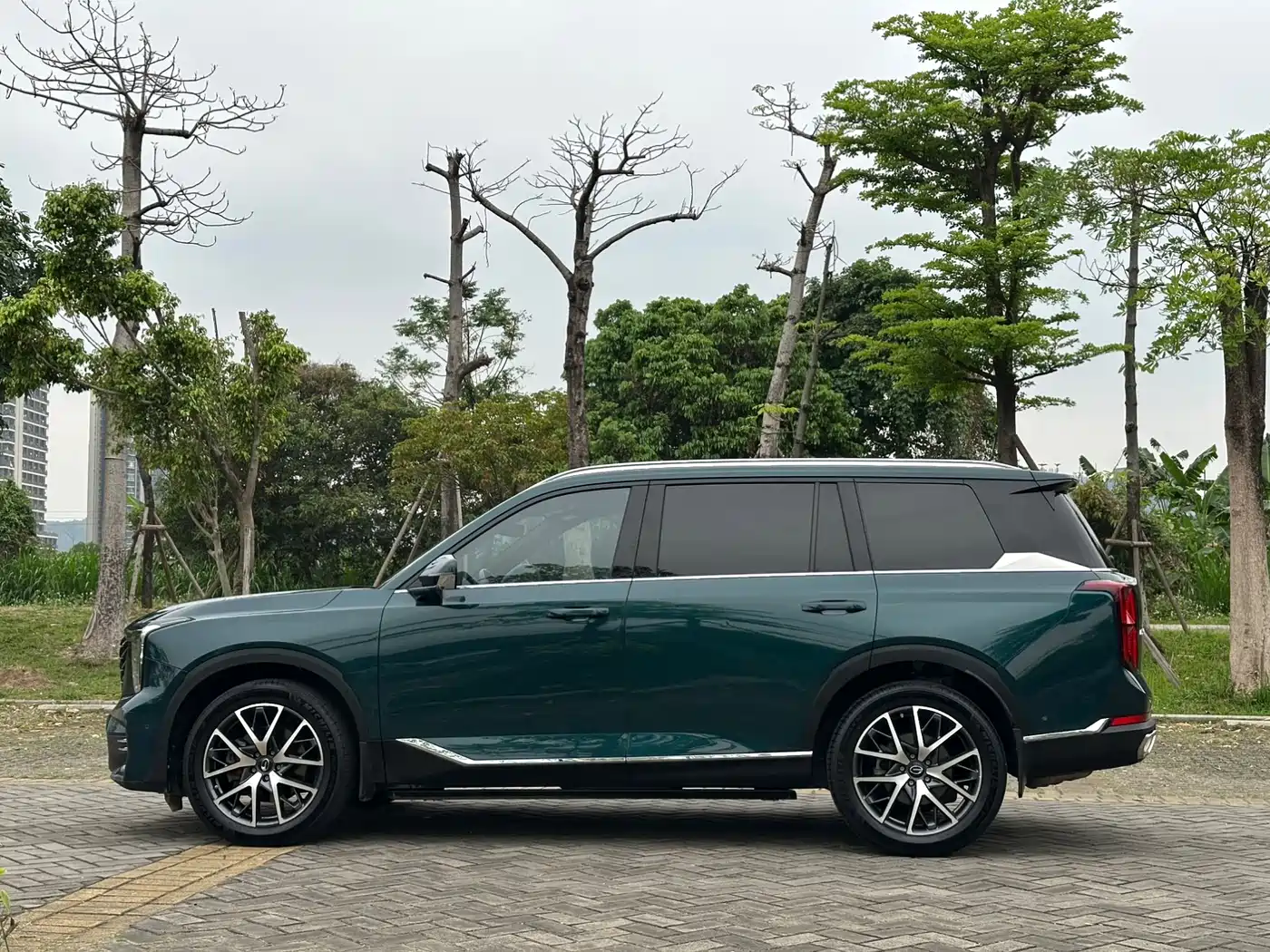 GAC Trumpchi Trumpchi GS8 2022 Pilot Series 2.0TGDI 2WD Premium Edition (7-Seater) фото 4