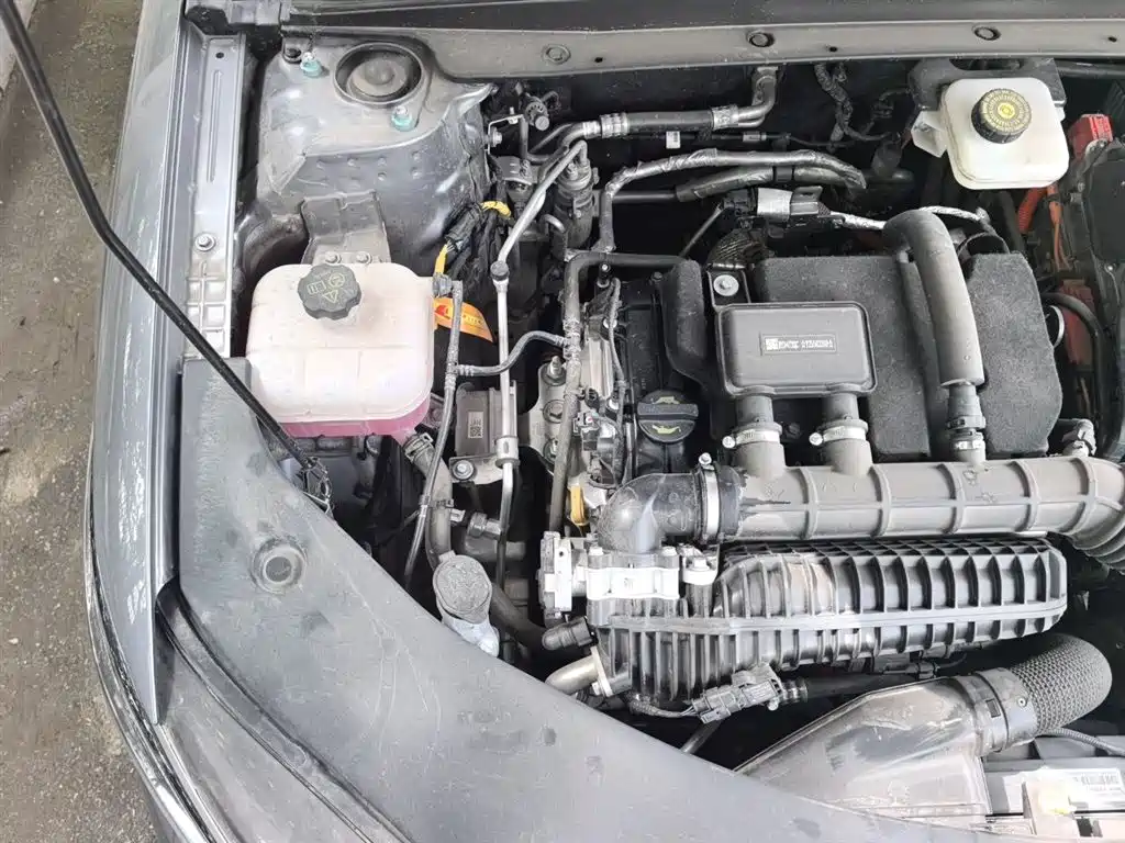 BYD Qin PLUS 2025 DM-i Smart Drive 55KM Leader фото 22
