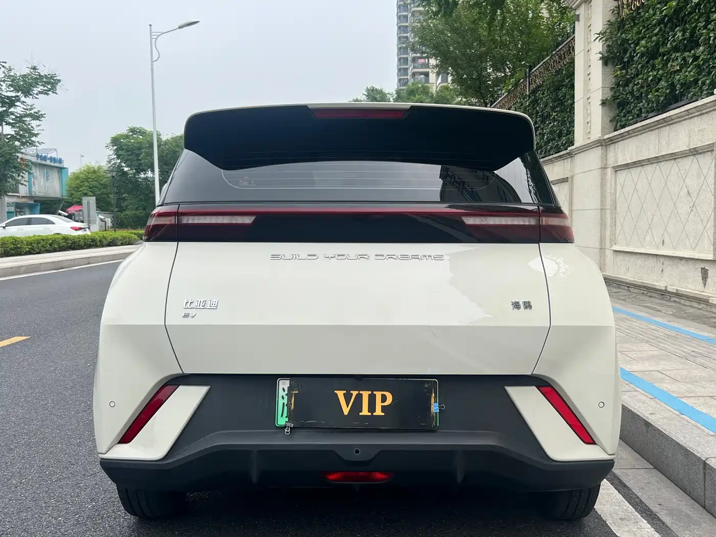 BYD Seagull 2023 Vitality Edition фото 4