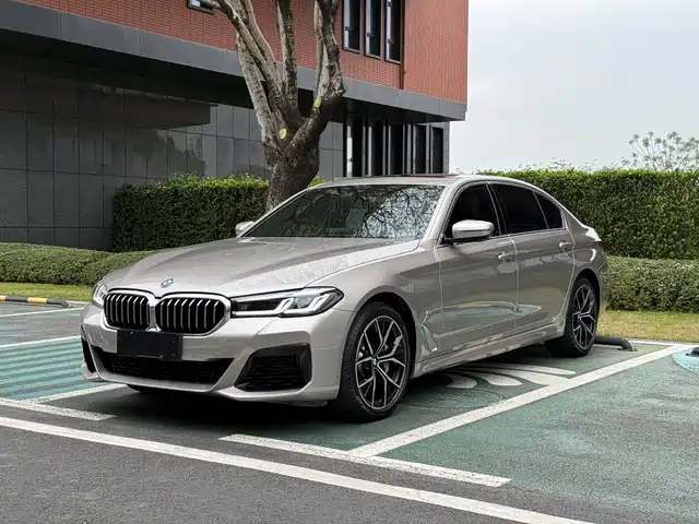 BMW 5 SERIES