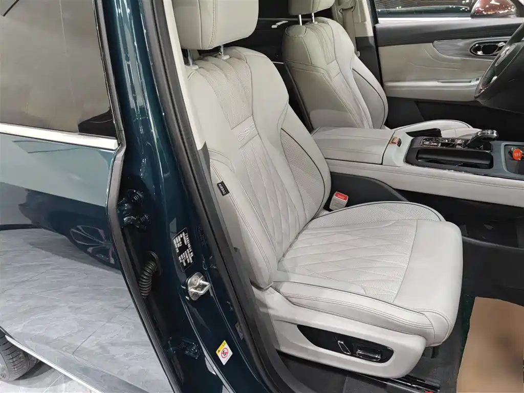 GAC Trumpchi Trumpchi GS8 2022 Dual Engine Series 2.0TM 4WD Premium Edition (6-Seater) фото 25