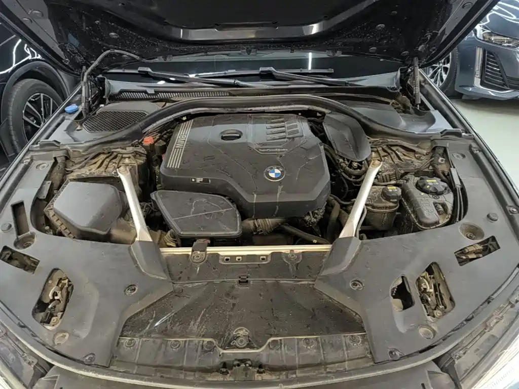 BMW 5 Series 2021 530Li Leading M Sport Package фото 20