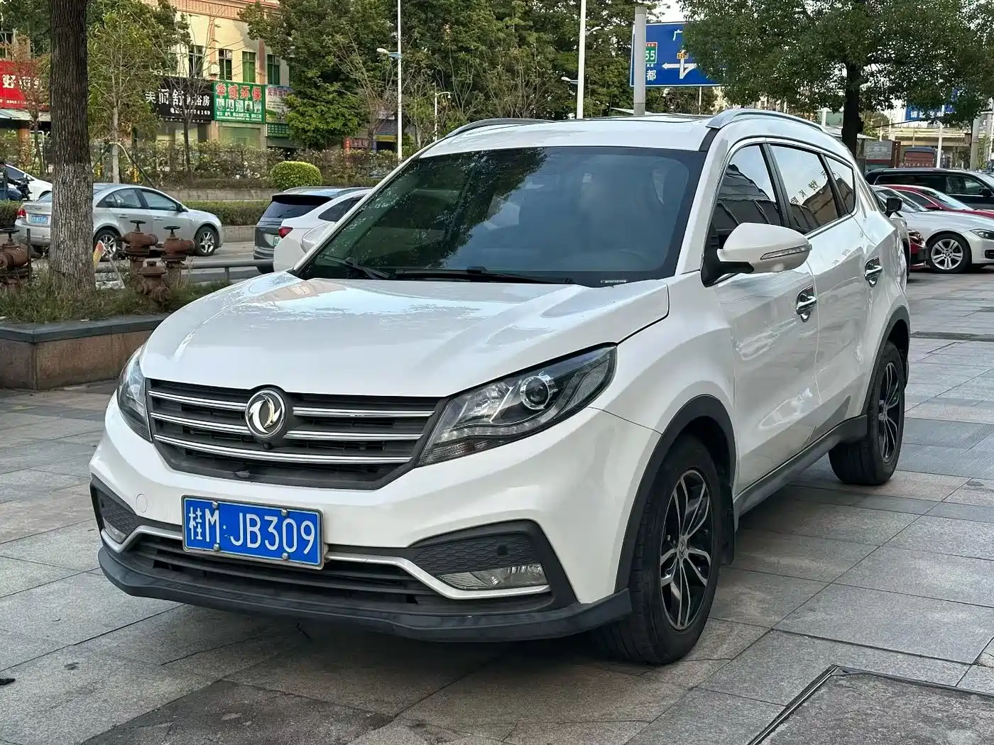 DONGFENG SCENERY 580