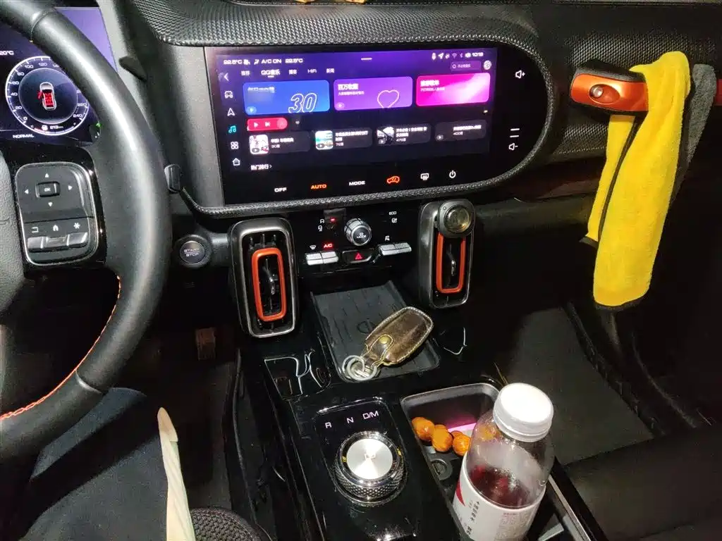 Haval Big Dog 2021 1.5T DCT 2WD Malinois Edition фото 6