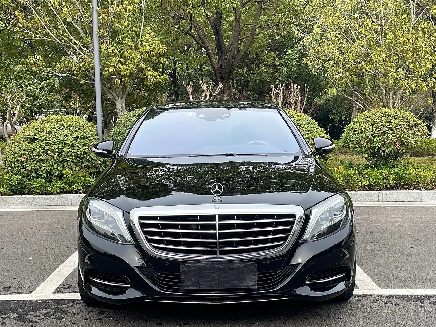 Mercedes-Benz S-Class 2014 S 500 L фото 2