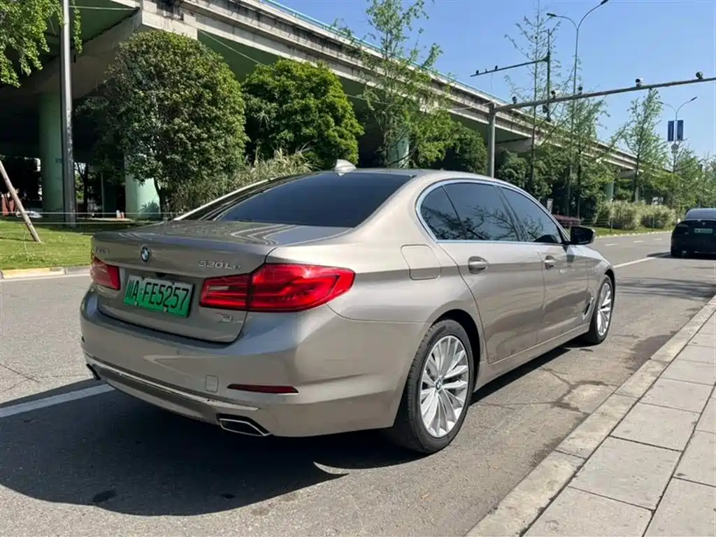 BMW 5 Series New Energy 2020 530Le Luxury Package фото 9