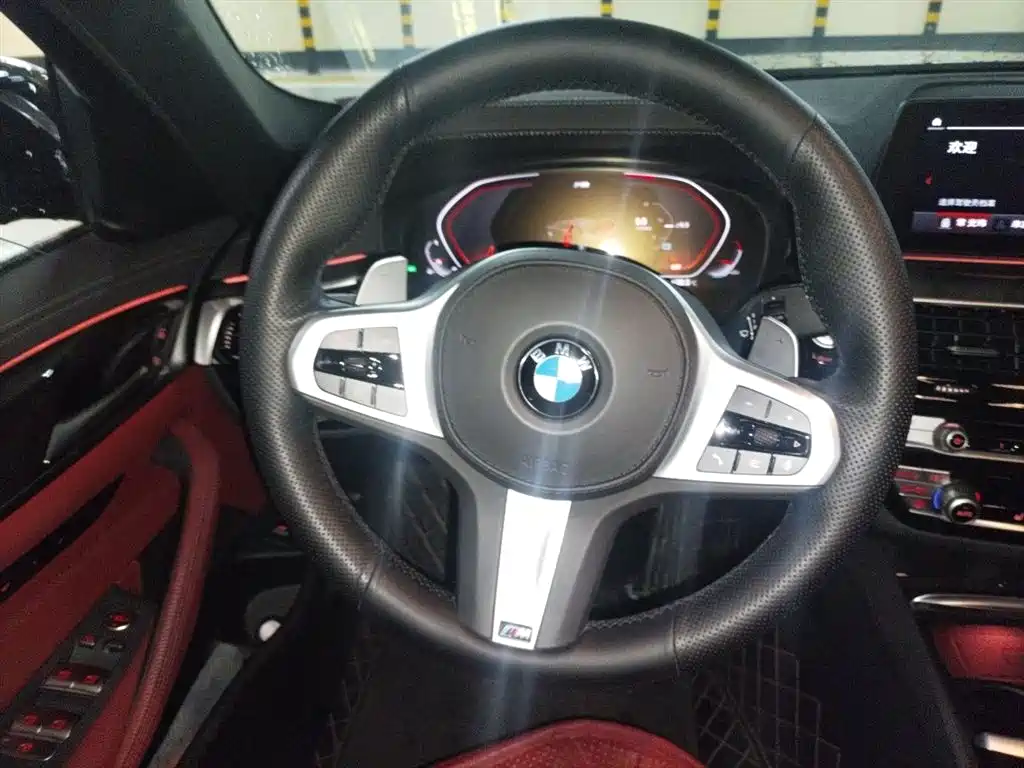 BMW 5 Series 2020 530Li Leading M Sport Package фото 11