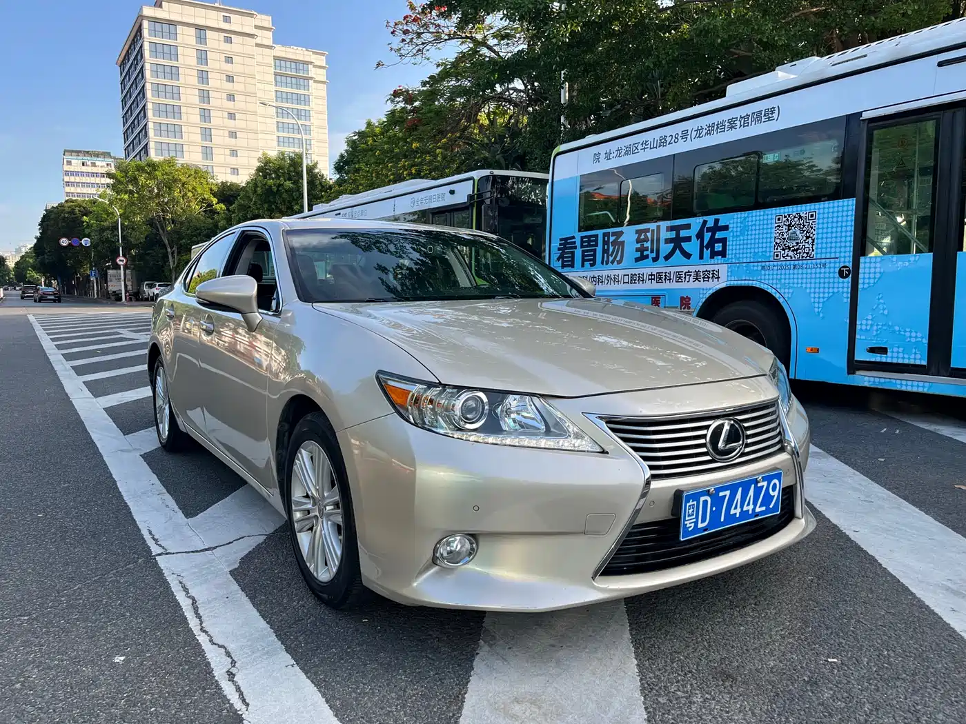 Lexus ES 2013 250 Elite Edition фото 2