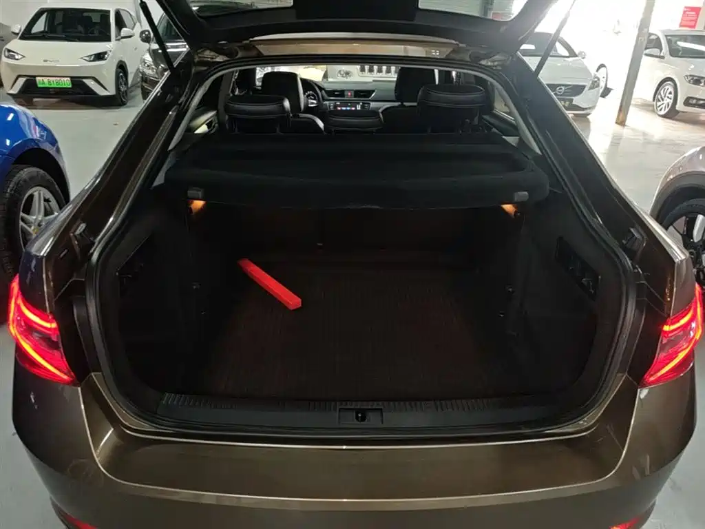 Škoda Superb 2016 TSI280 DSG Pioneer Edition фото 19