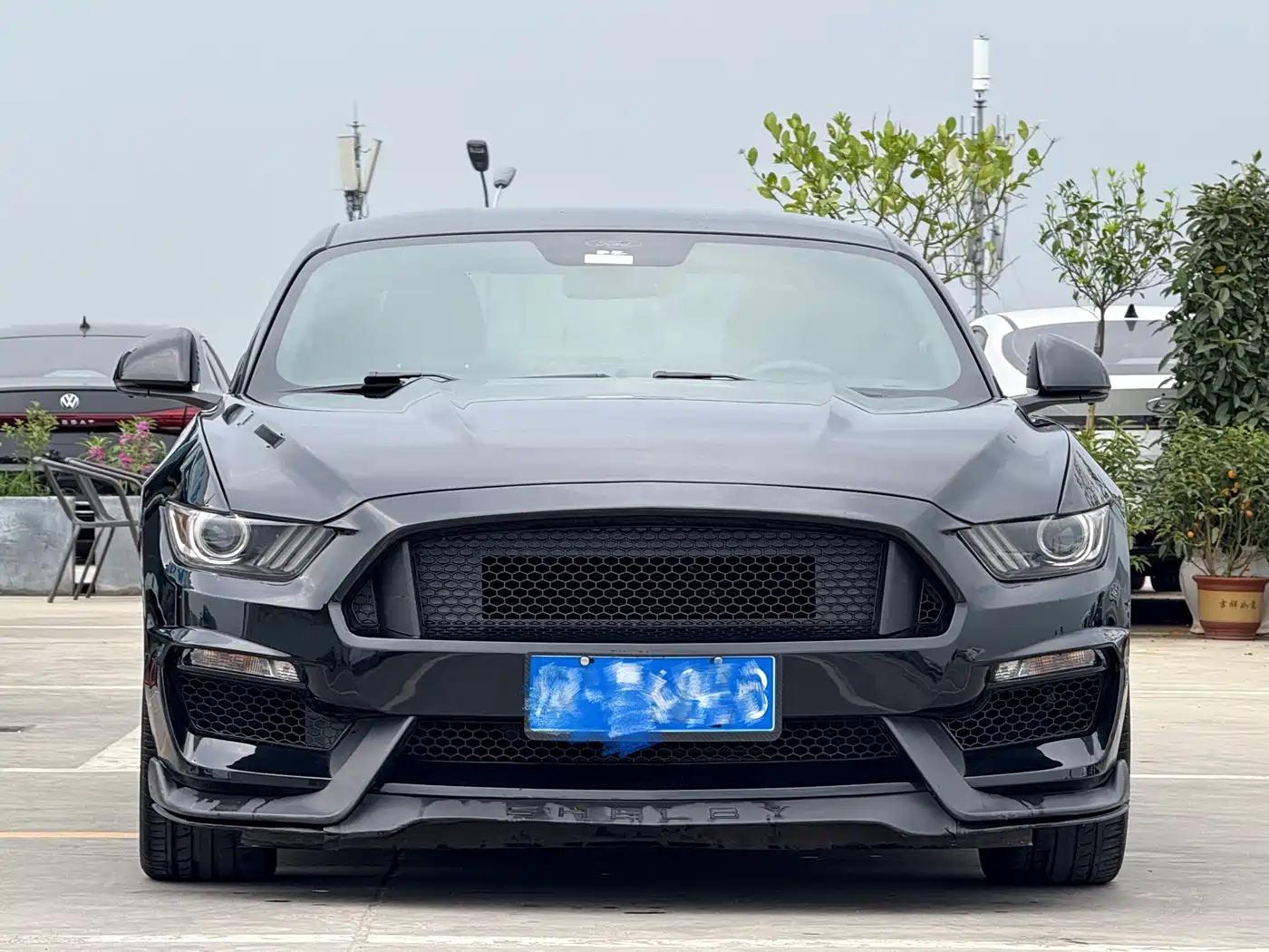 Ford Mustang 2015 2.3T Performance Edition фото 2