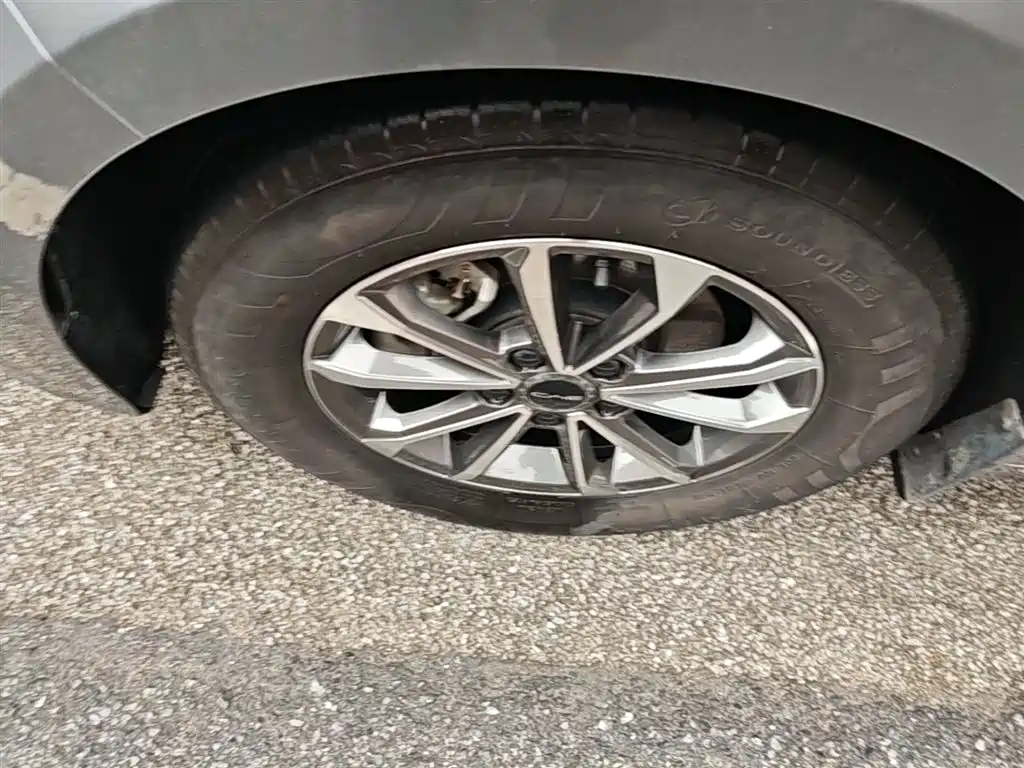 BYD Destroyer 05 2024 Glory Edition DM-i 55KM Luxury фото 23