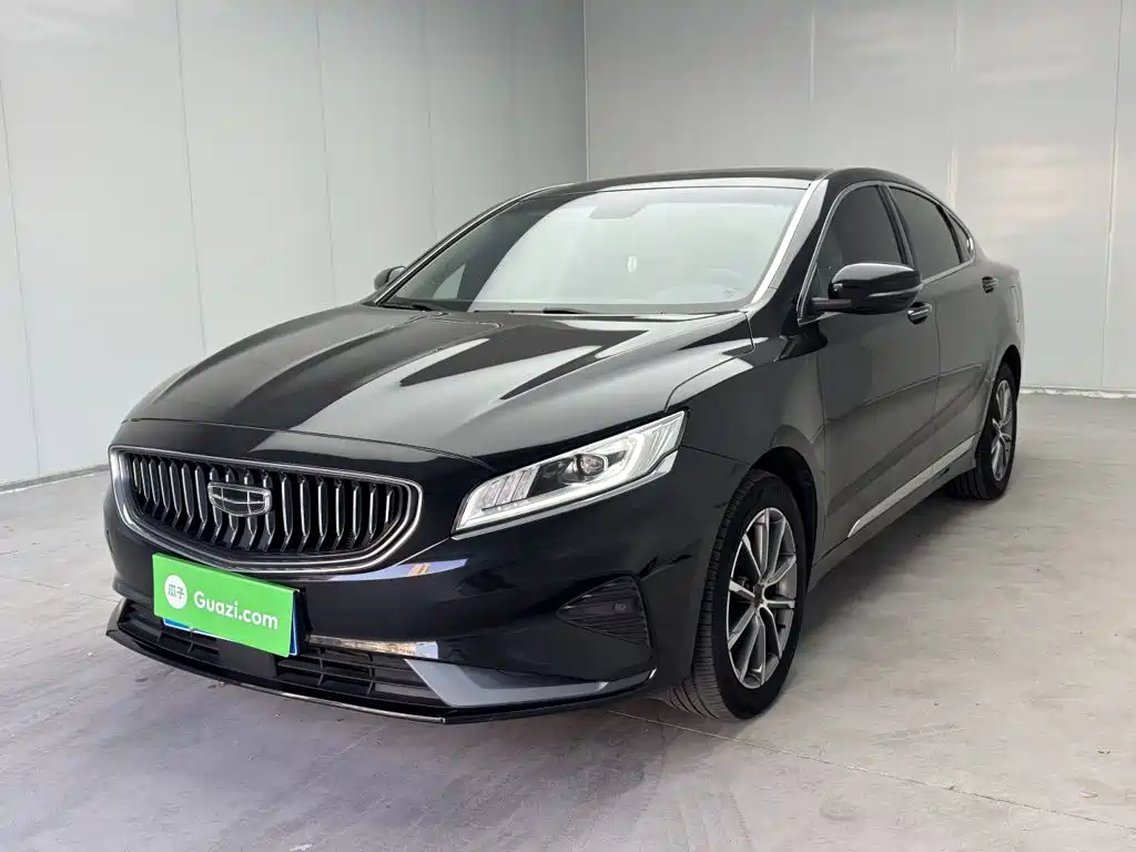 Фото 2 - Geely Borui