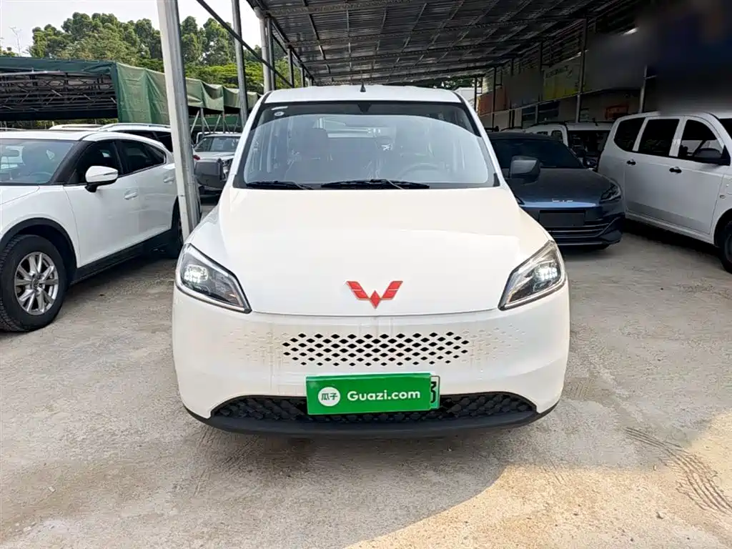 Фото 3 - Wuling Motors Wuling Hongguang New Energy